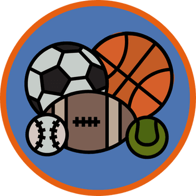 Sports Enthusiast