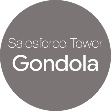 Salesforce Tower Gondolier